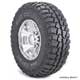 www.meinvoyager.de - 33X12,50R17LT MUD COUNTRY