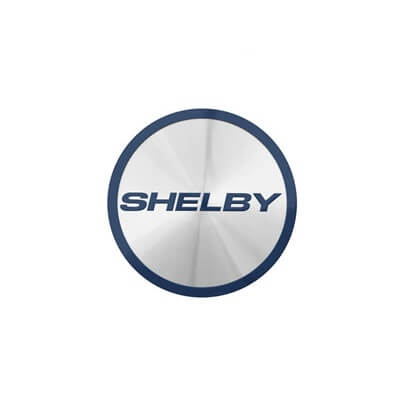 www.meinvoyager.de - SHELBY FUSE BOX COVER INS